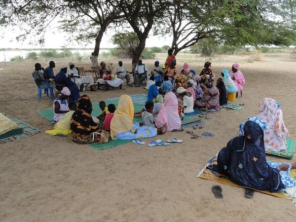 People gathered under some trees in Senegal